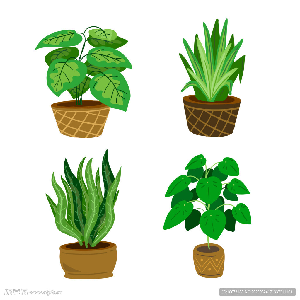 四种盆栽绿植插画展示