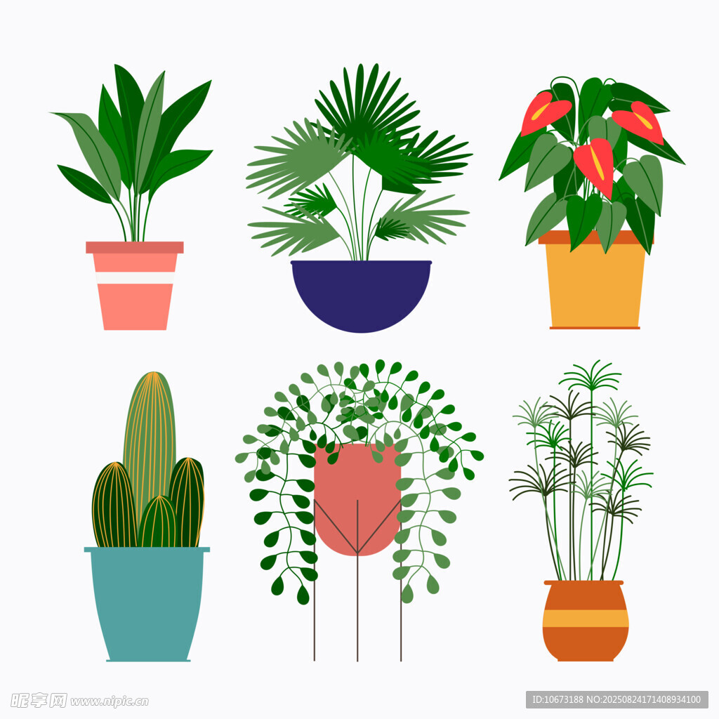 多样盆栽植物插画