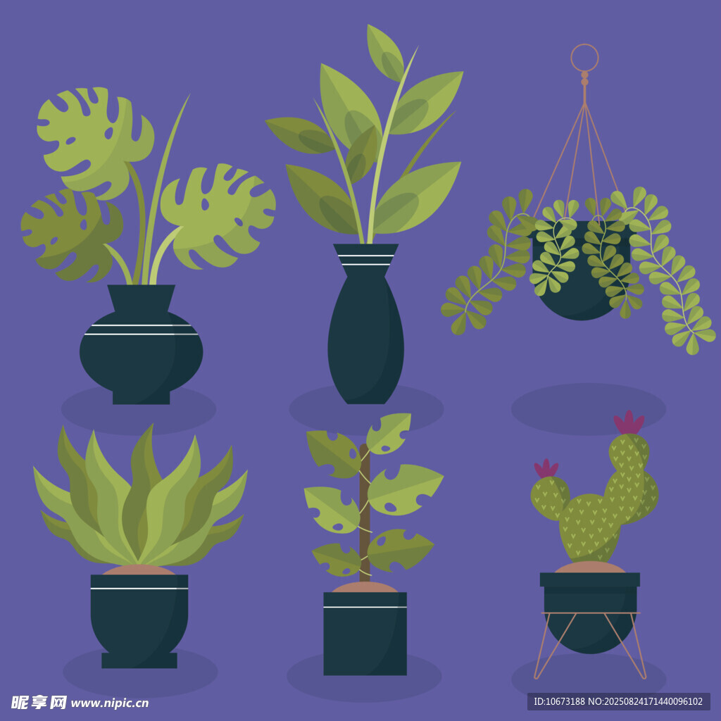 多样盆栽植物集合