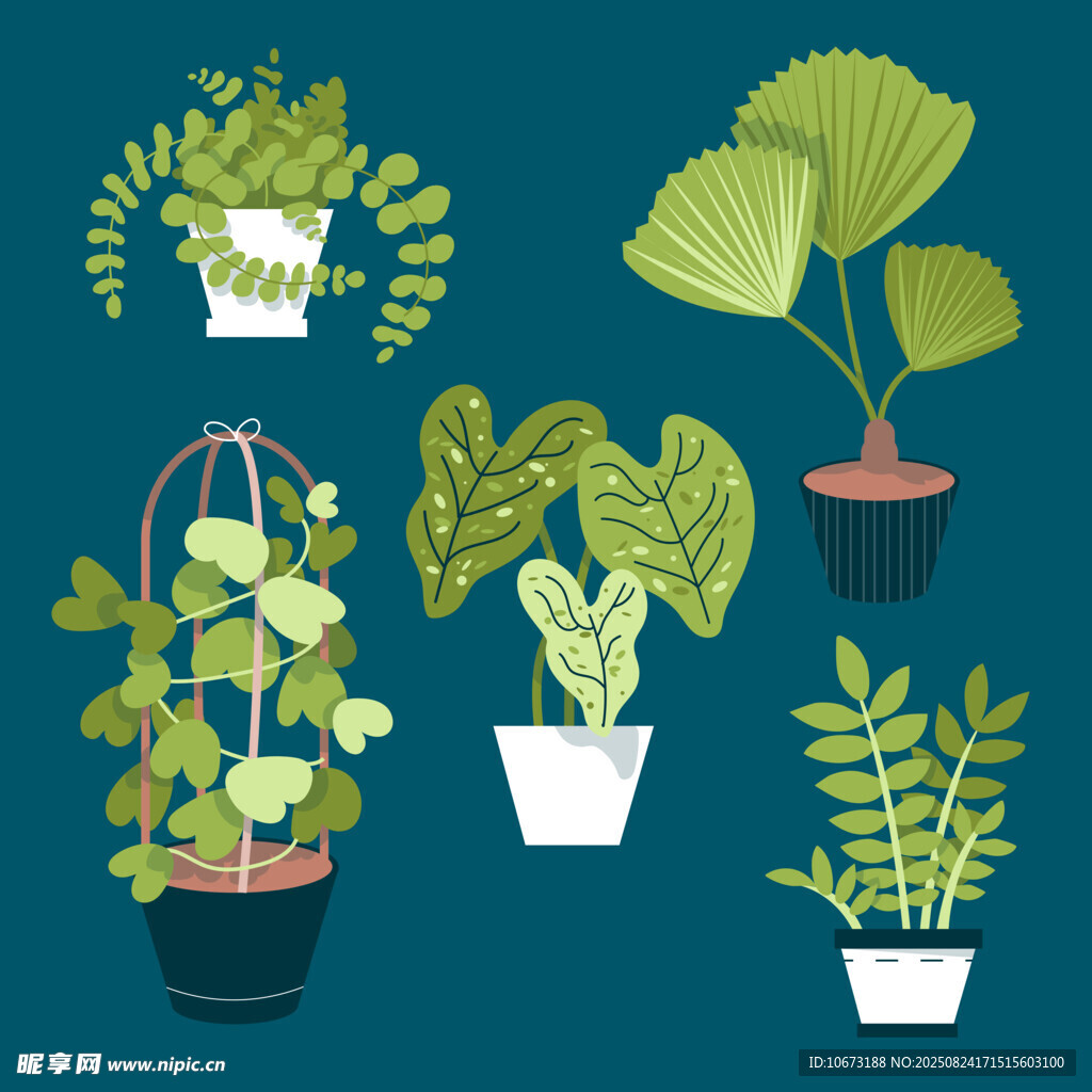 盆栽绿植集合图