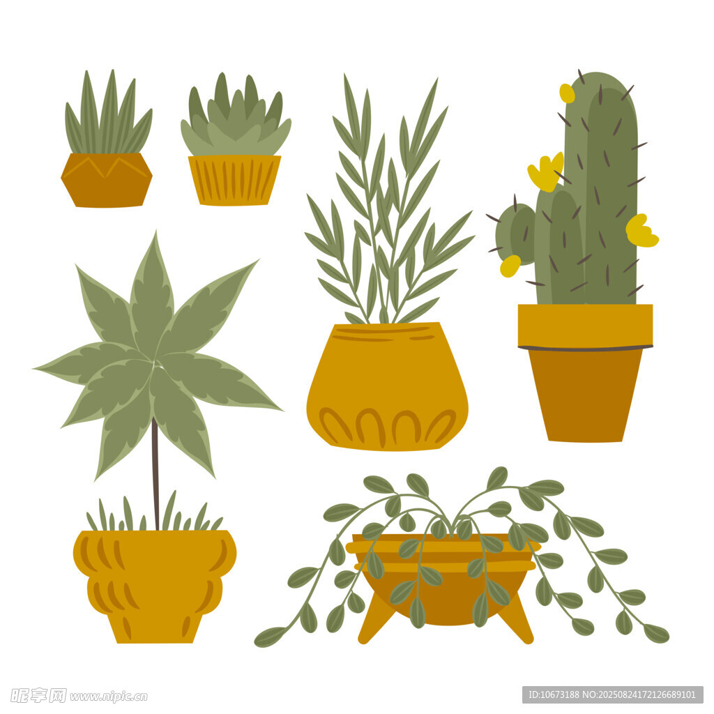 盆栽植物插画