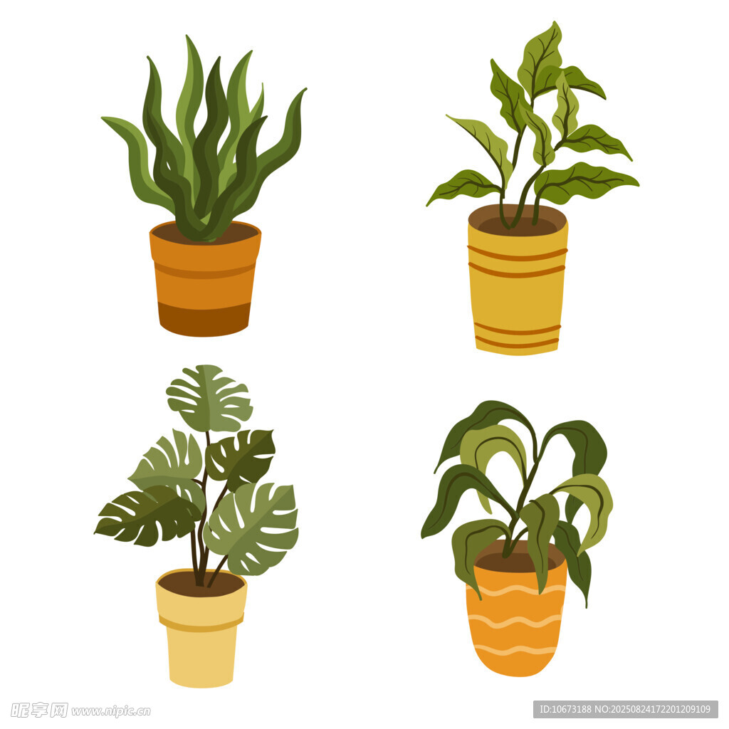 四盆可爱的室内盆栽植物