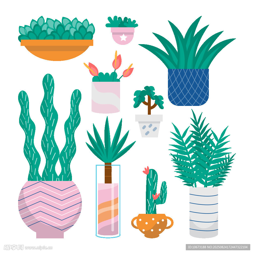 多彩盆栽植物插画