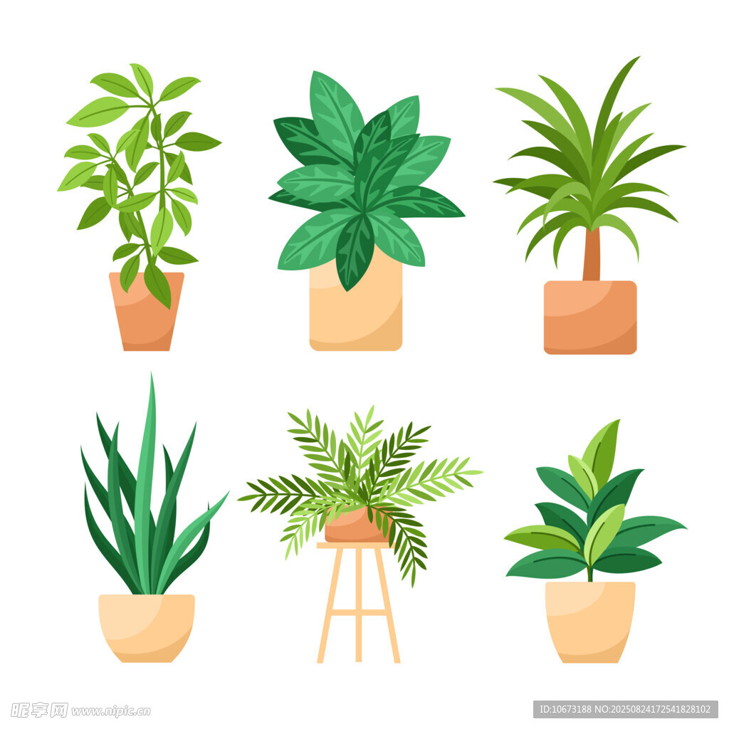 多样盆栽植物展示