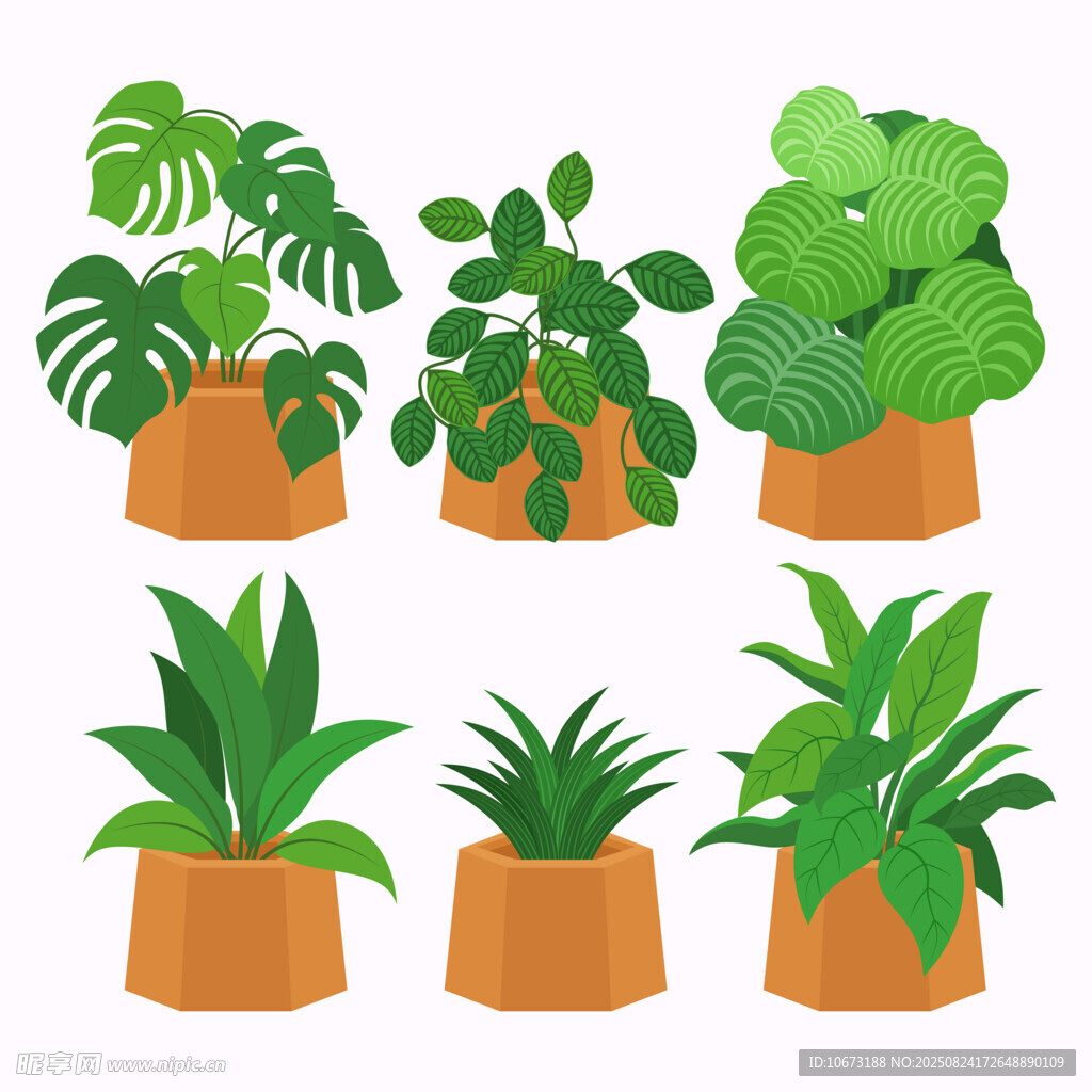 盆栽绿植集合