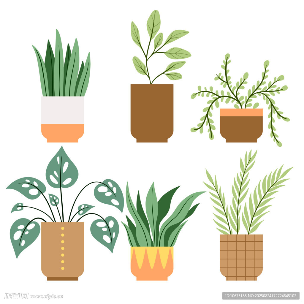 多样盆栽植物插画展示