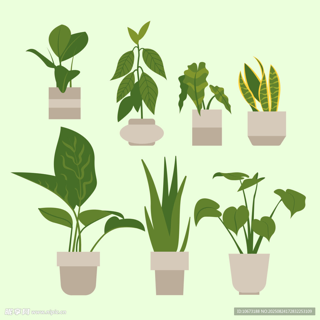 盆栽绿植集合
