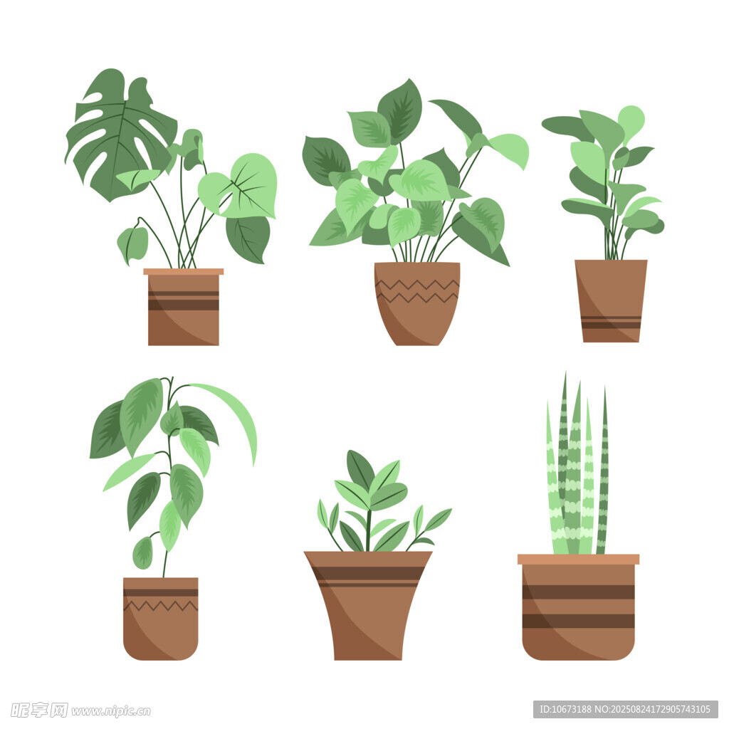 盆栽植物集合