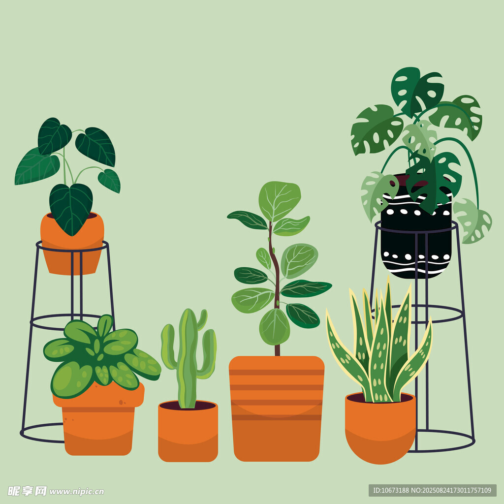 室内绿植盆栽组合展示