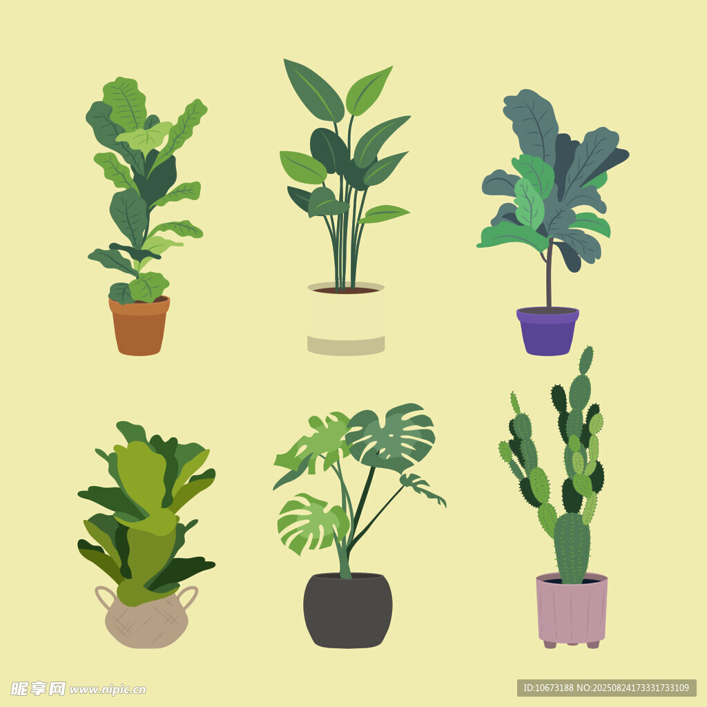 多样盆栽植物插画展示