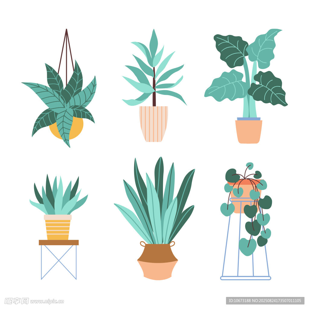 多样盆栽植物插画展示