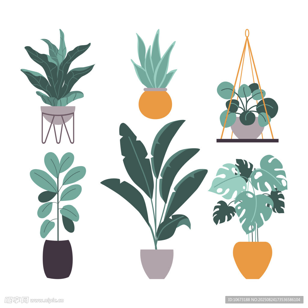 多样室内盆栽植物插画