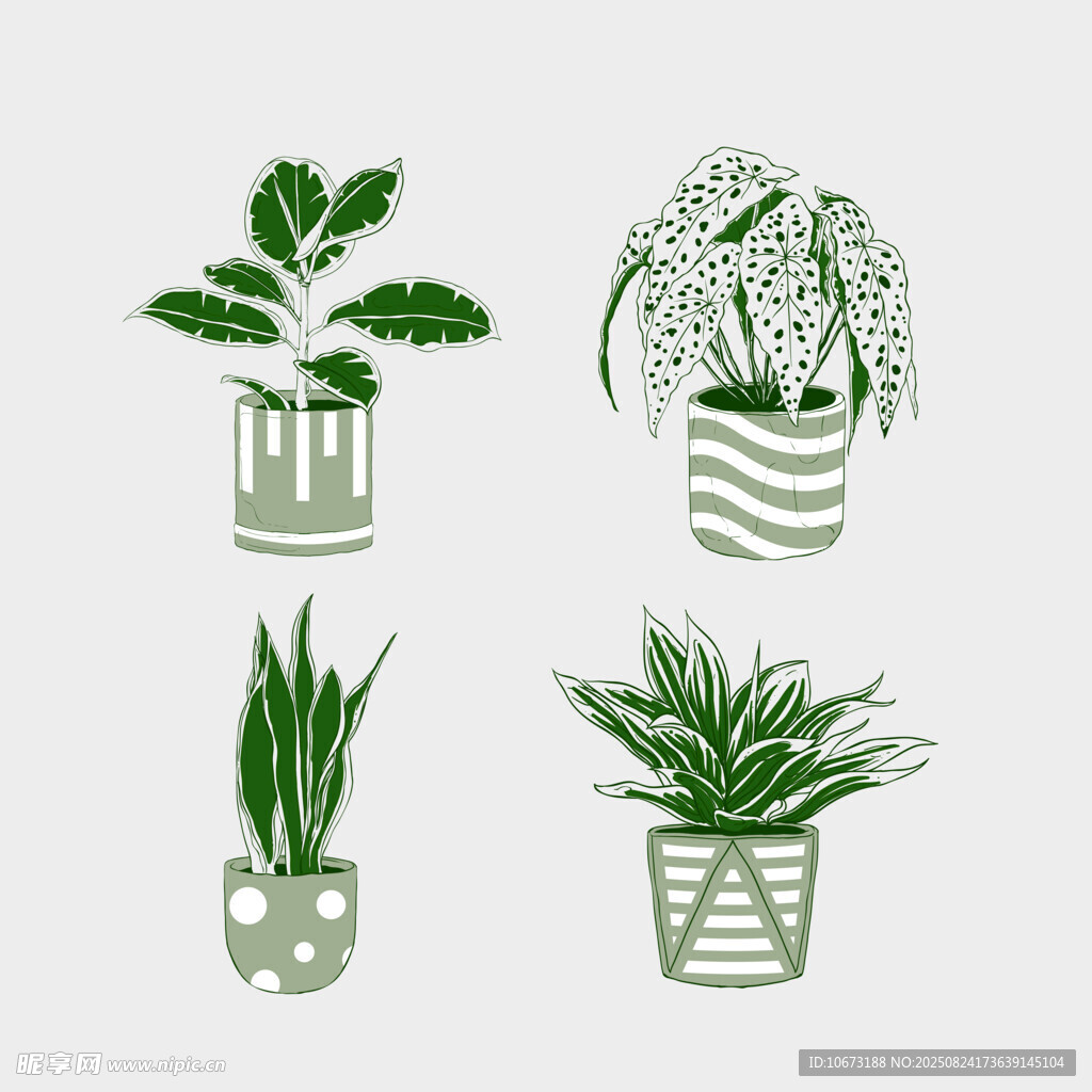 盆栽绿植图案设计