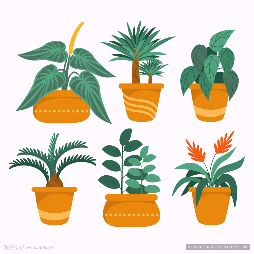 盆栽植物集合