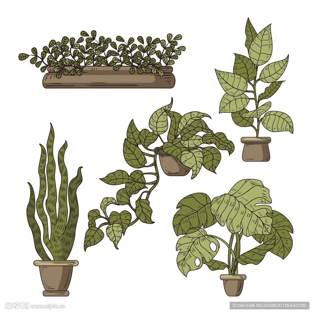 多样盆栽植物插画展示