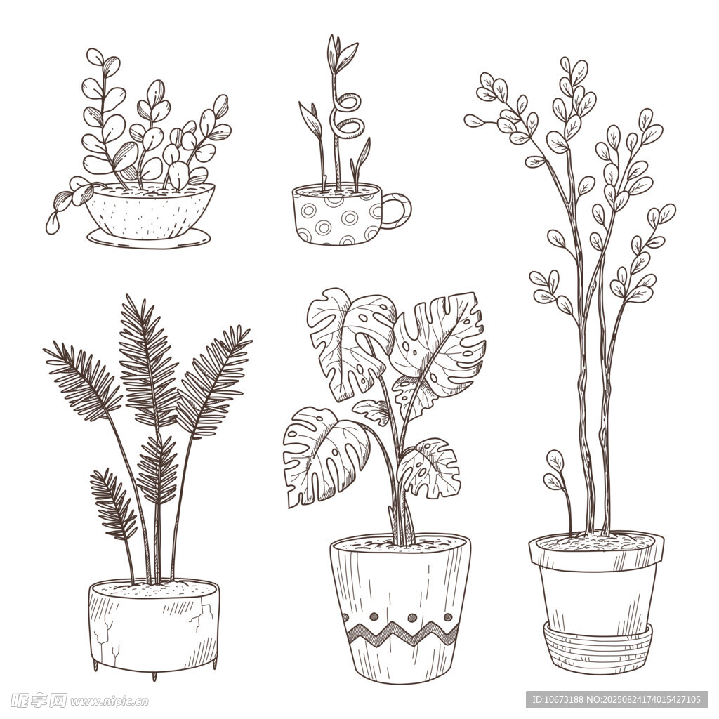 手绘盆栽植物插画