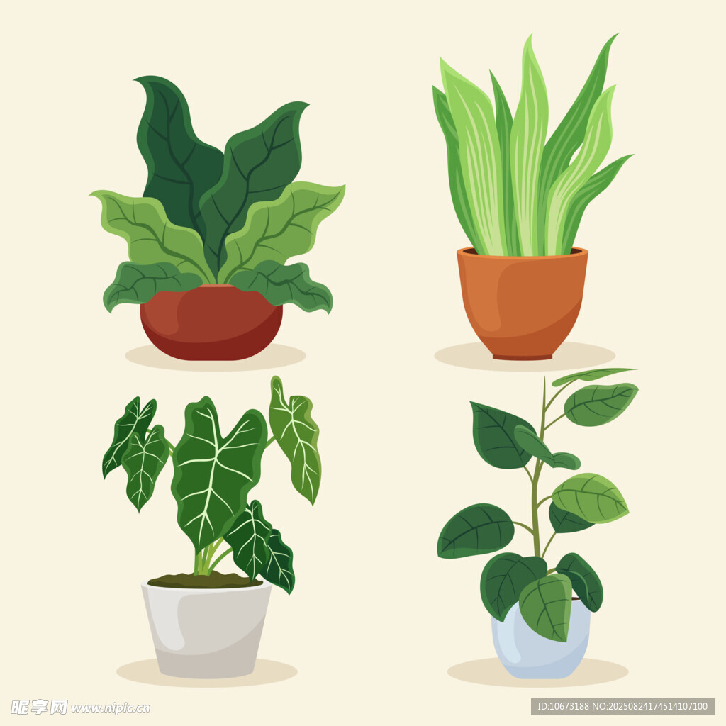 多样盆栽植物插画展示