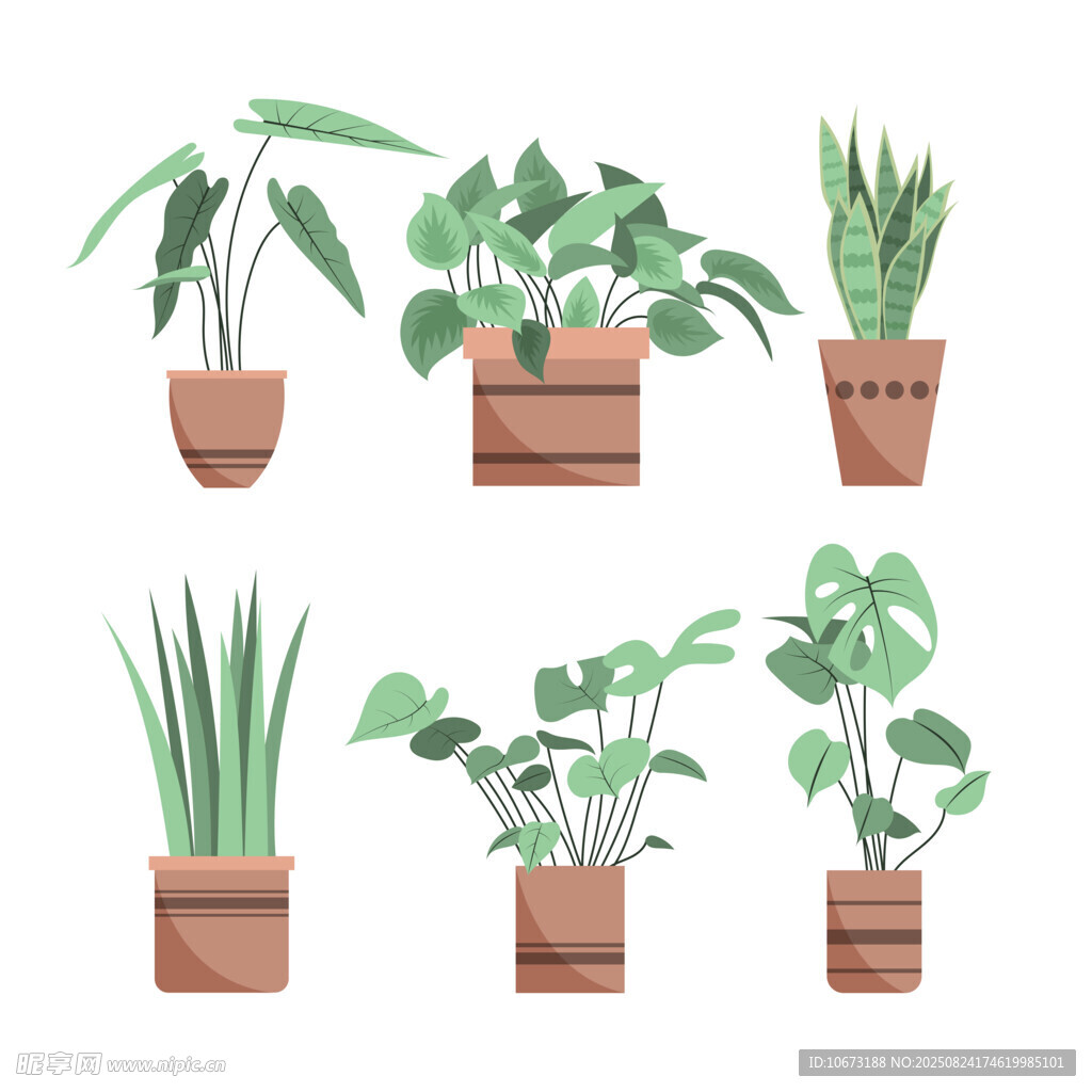 多样盆栽植物集合展示
