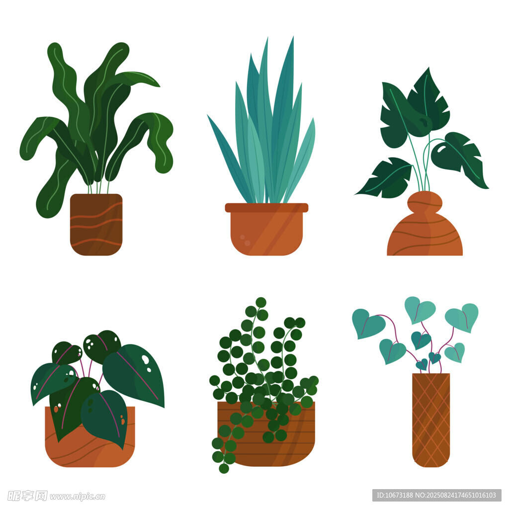 多样盆栽植物插画展示
