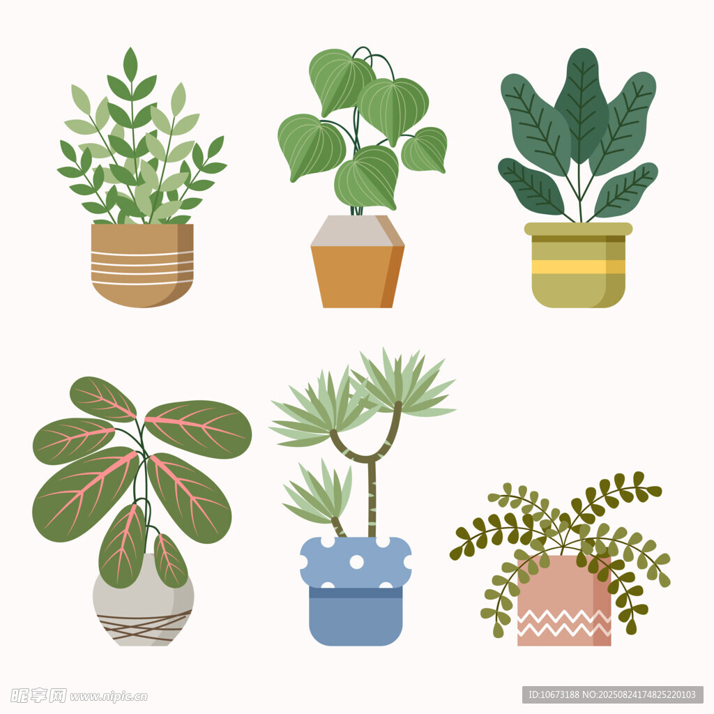 多样盆栽植物插画展示