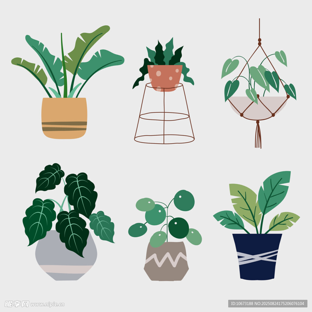 多样盆栽植物装饰插画
