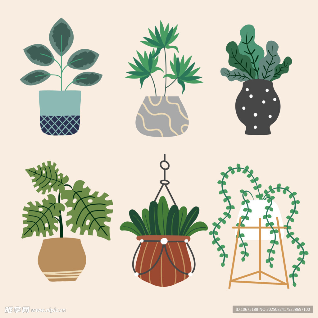 多样盆栽植物展示