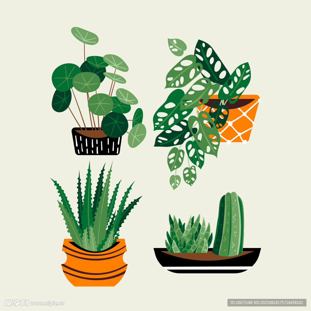 多样盆栽植物插画