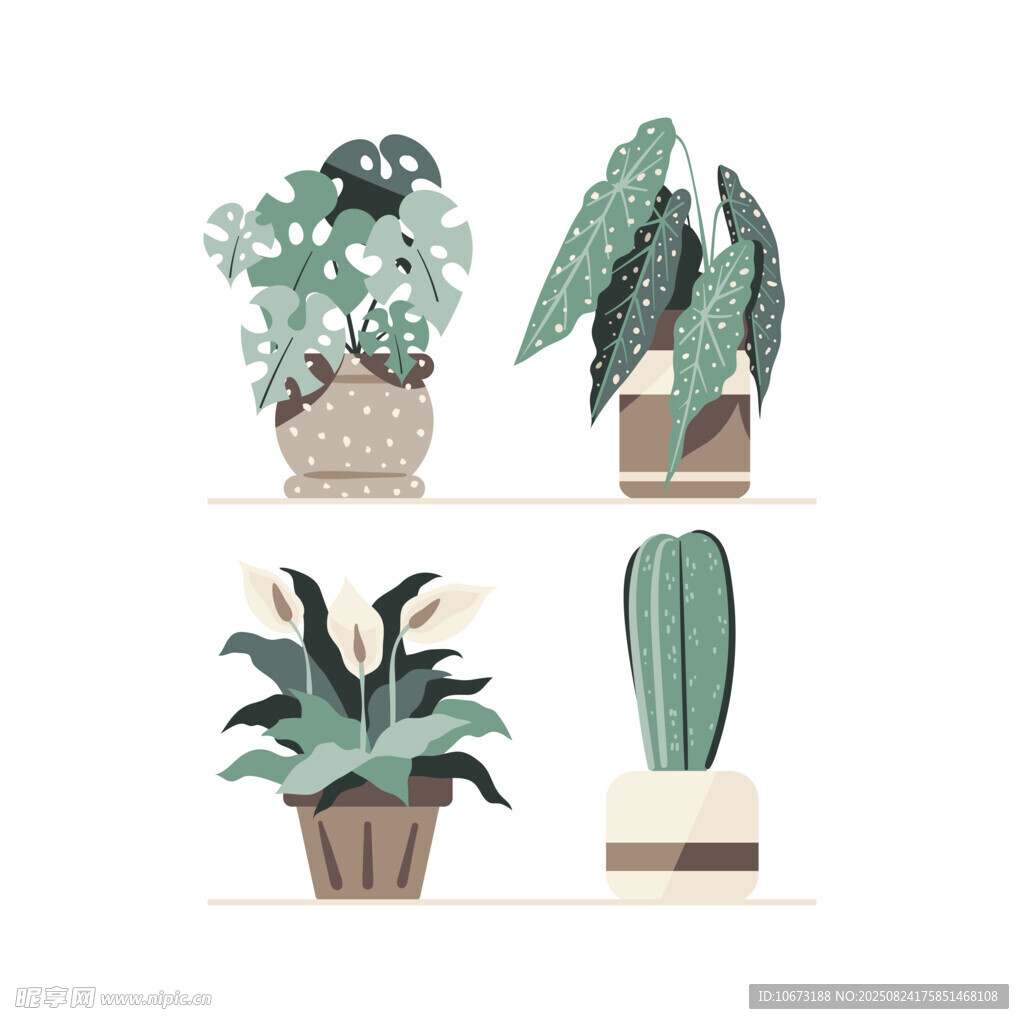 四盆别致室内绿植摆件