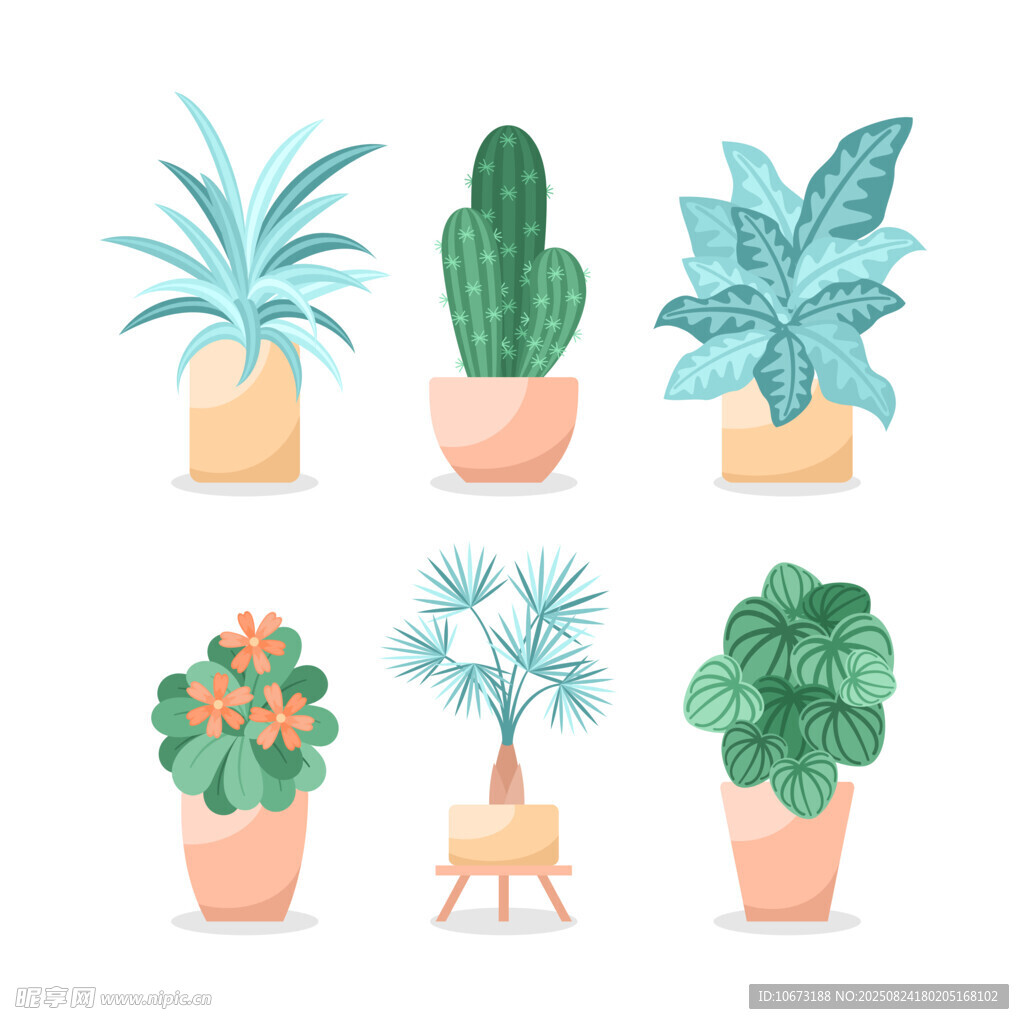 多样盆栽植物插画展示