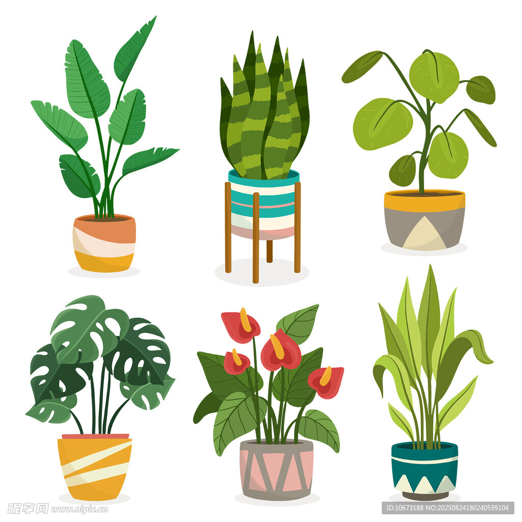 多样盆栽植物插画展示