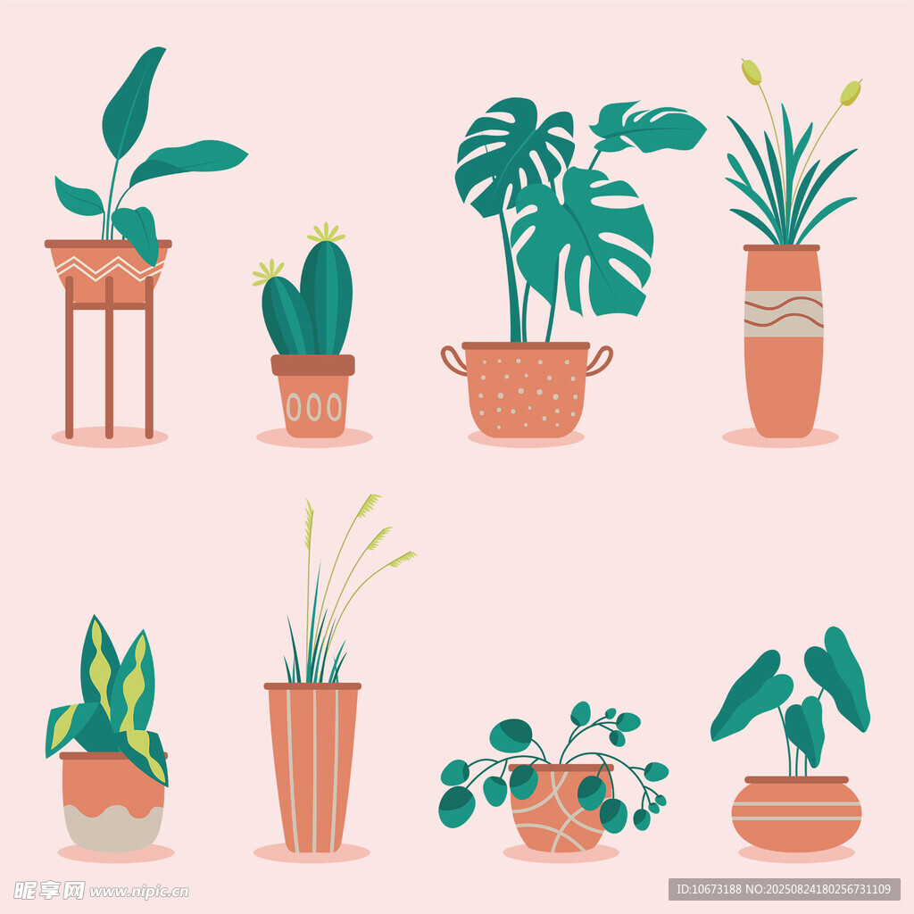 多样盆栽植物插画展示