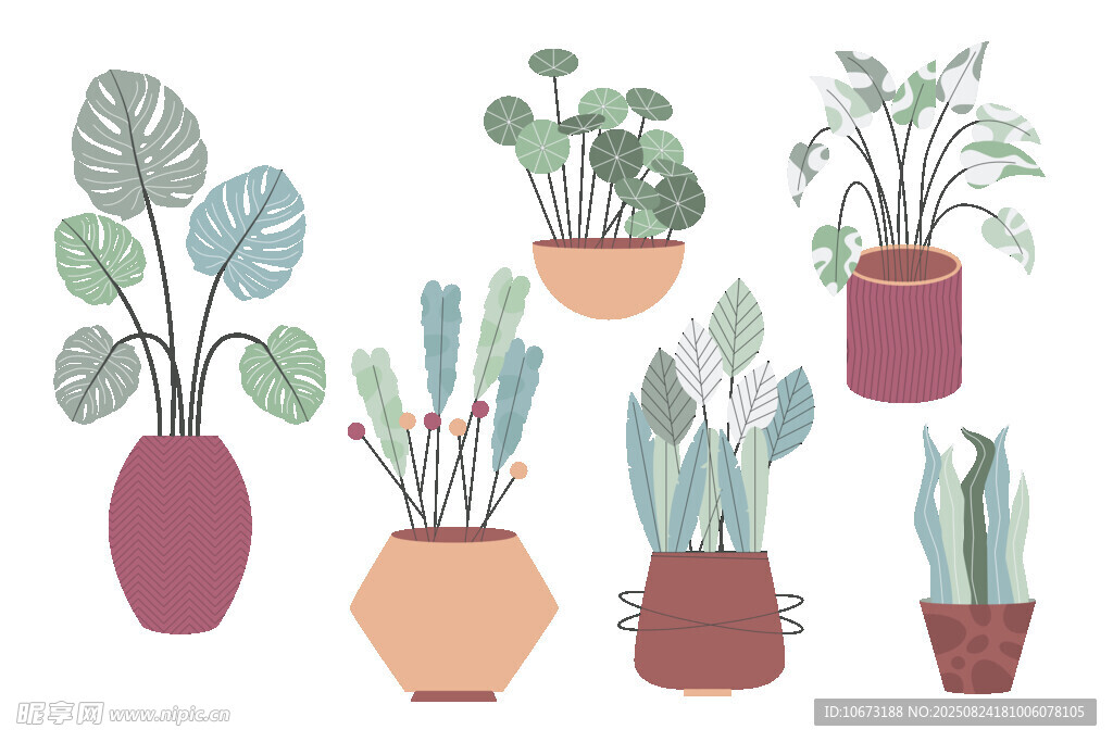 多样盆栽植物插画展示
