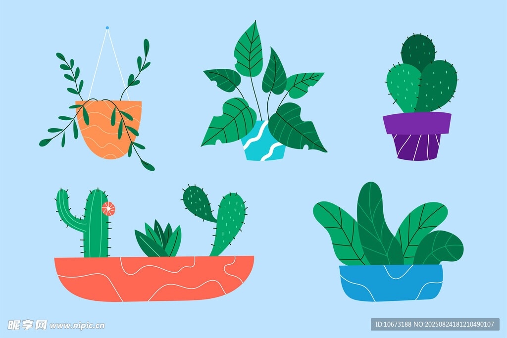 多彩盆栽植物插画