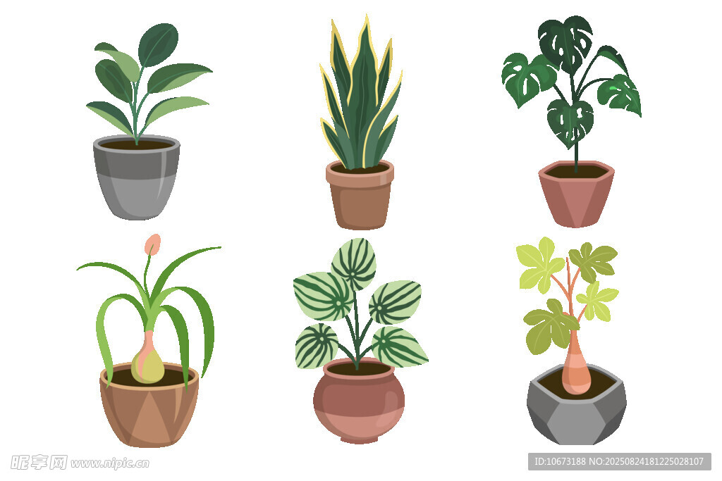 盆栽植物集合