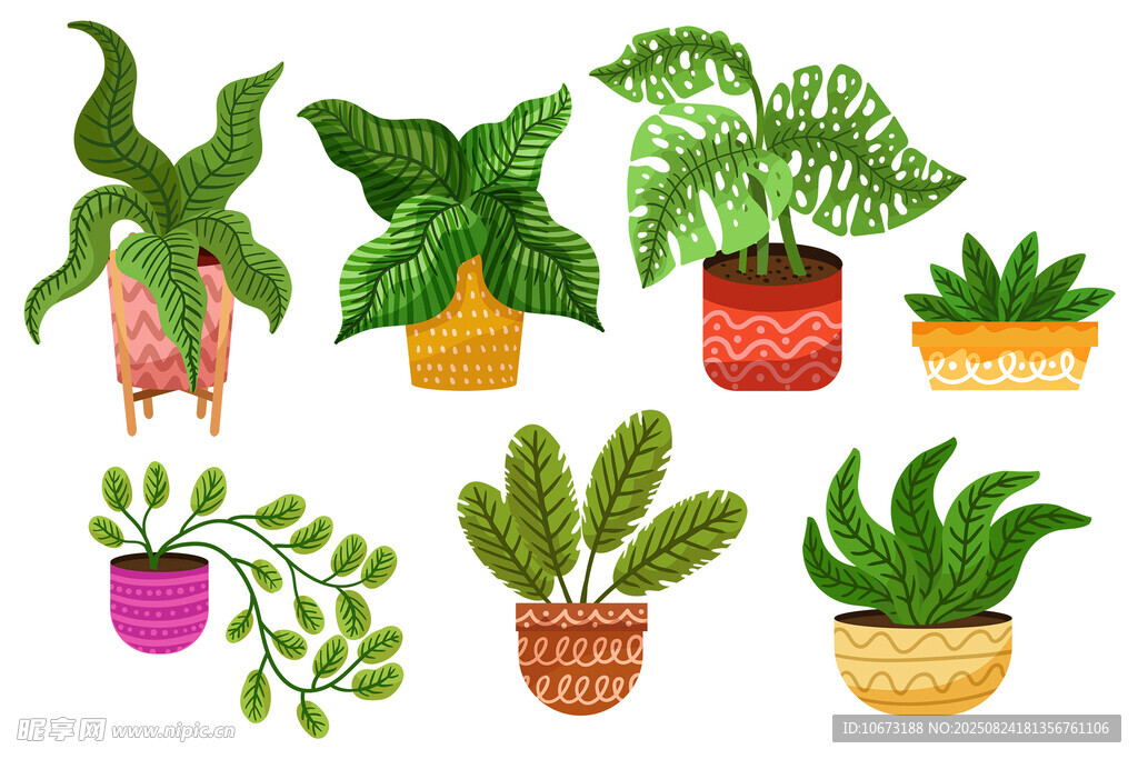 多样盆栽植物插画展示