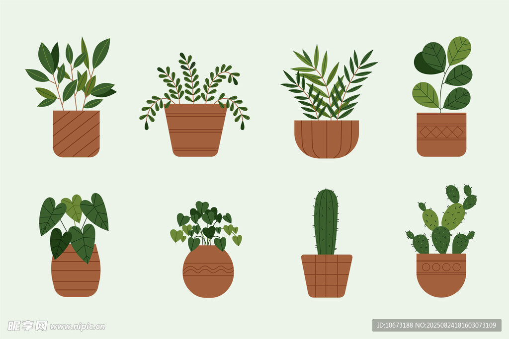 盆栽植物集合