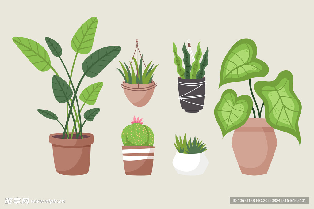 多样盆栽植物插画展示