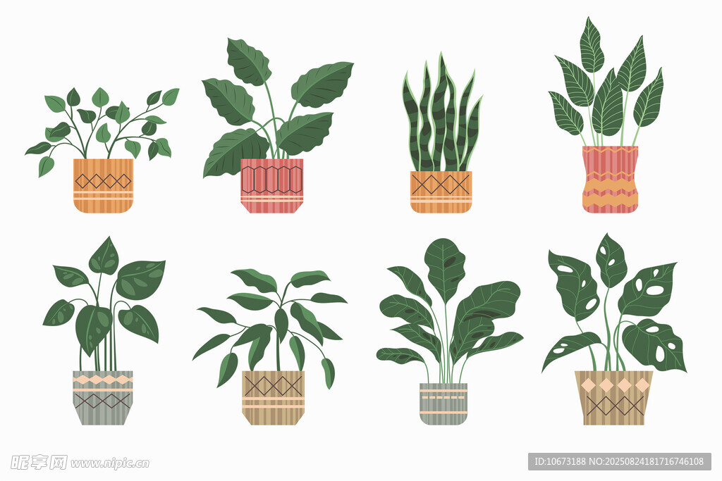 多样盆栽植物插画展示