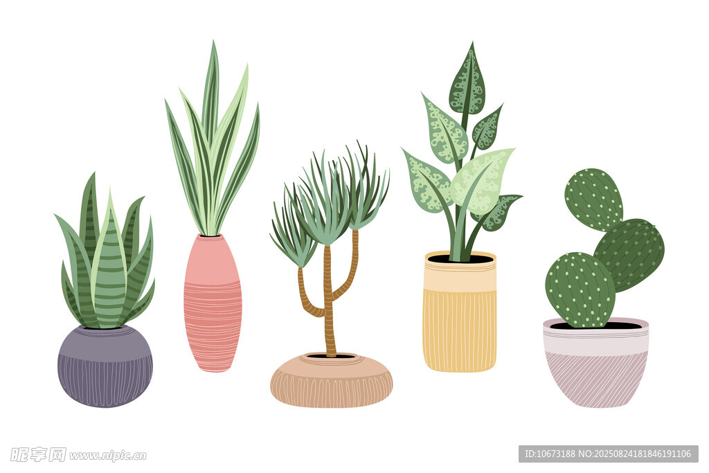 多样盆栽植物插画展示