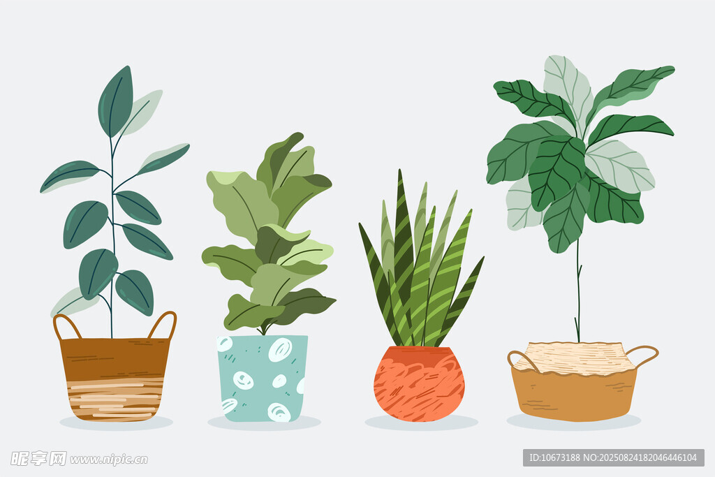 盆栽植物组合插画