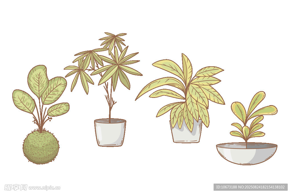 手绘盆栽植物组合