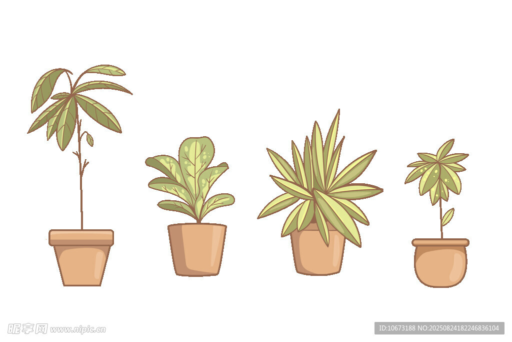 盆栽植物插画