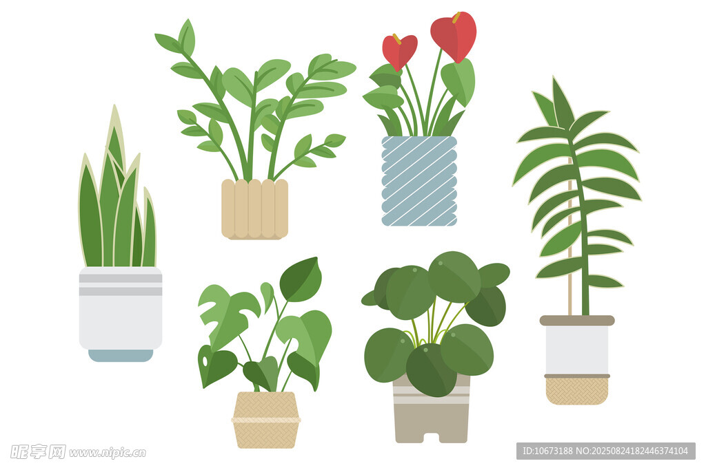 多样盆栽植物插画展示