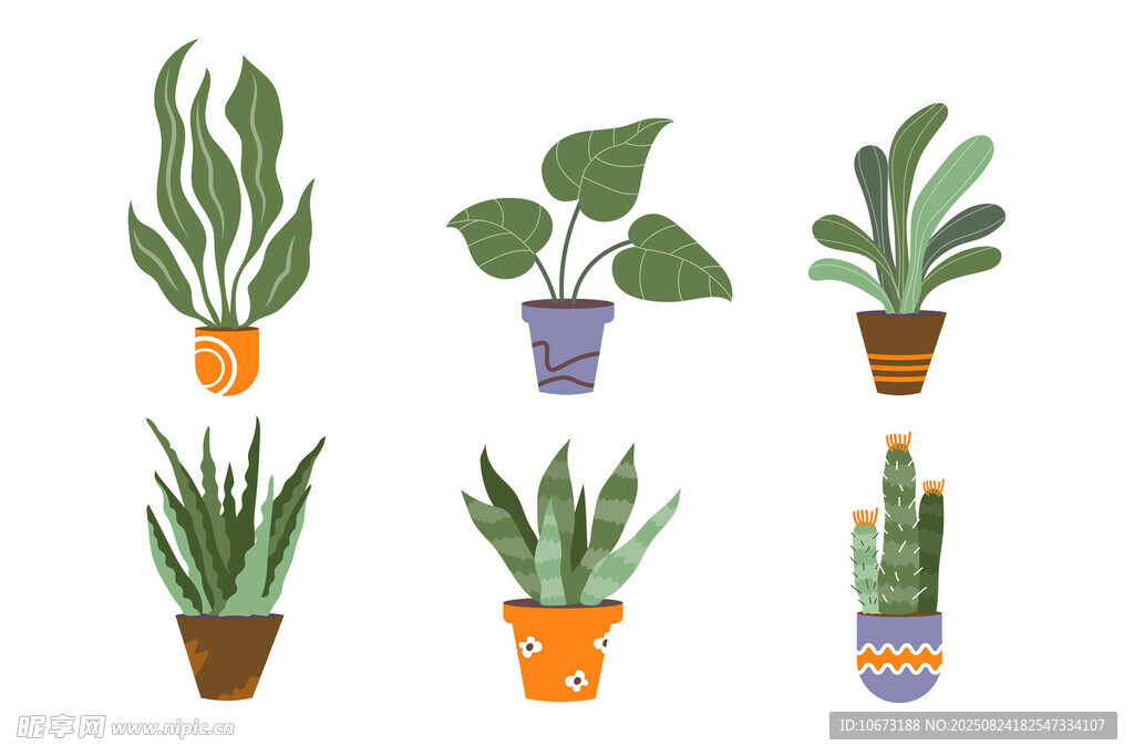 多样盆栽植物插画展示