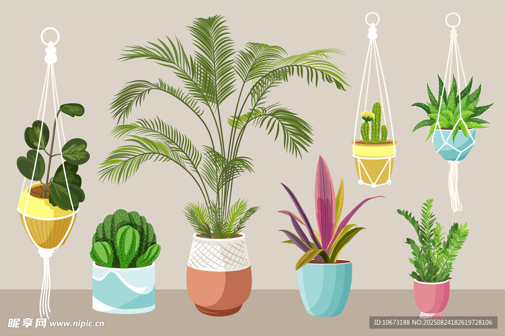 多样盆栽植物悬挂展示