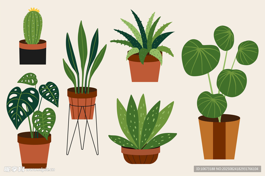 多样盆栽植物插画展示