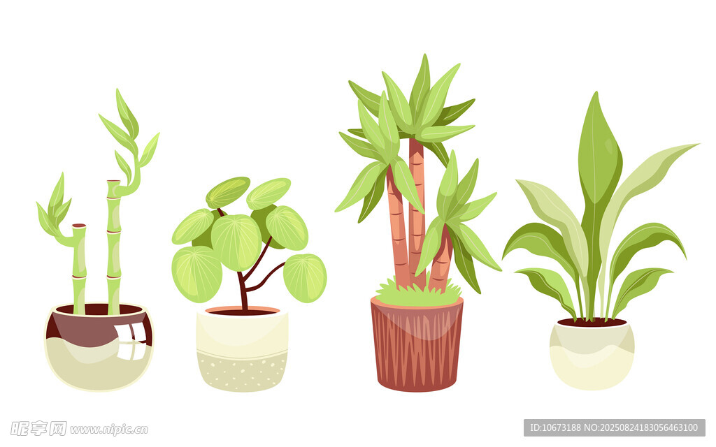 盆栽植物组合展示
