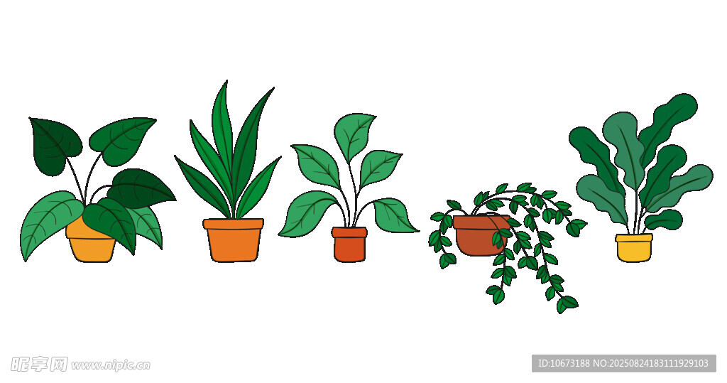 一排可爱盆栽植物