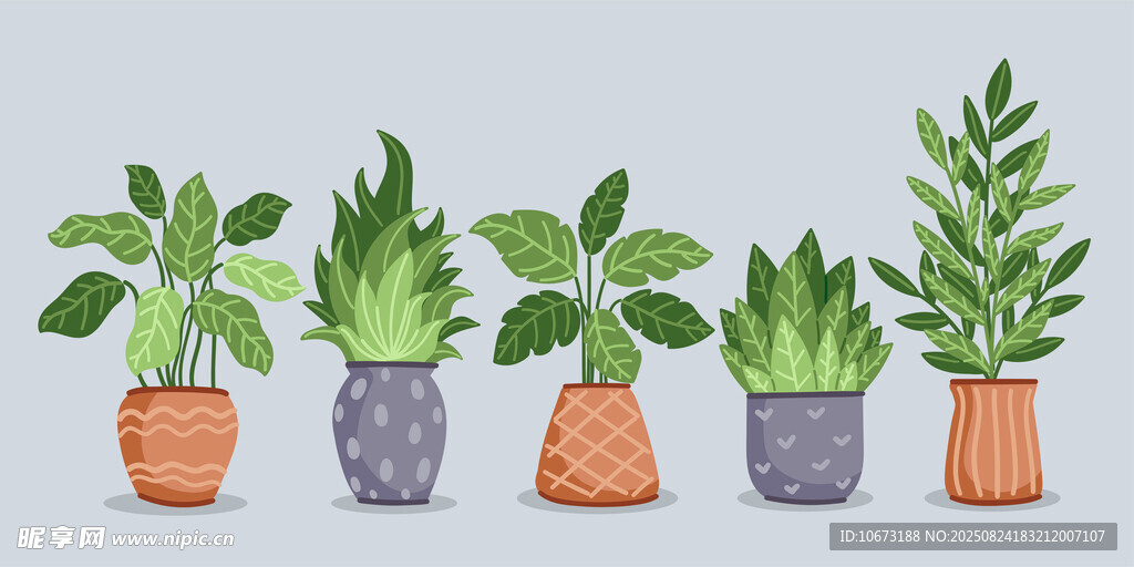 多彩盆栽植物组合展示