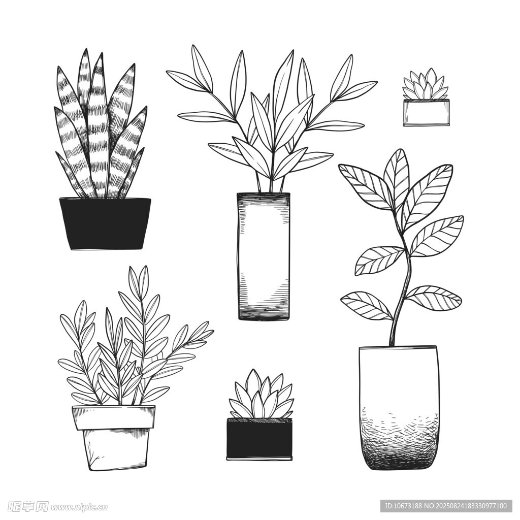 手绘盆栽植物插画